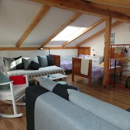 Jankoviceva Cesta 19